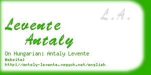 levente antaly business card